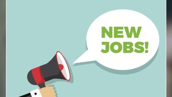 Job alert in Punjab government, 19000 posts to be filled Job alert in Punjab government, 19000 posts to be filled