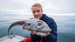 Norway: Man catches dinosaur fish, picture goes viral; here is the truth