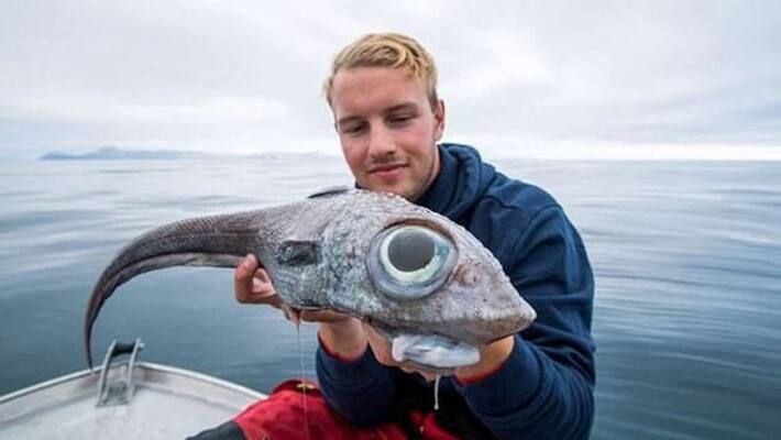 Norway fisherman catches dinosaur type fish with big eyes Norway fisherman catches dinosaur type fish with big eyes