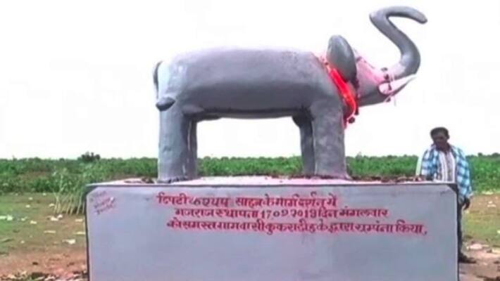 A statue of Elephant erected in the field, a unique idea to save the crops A statue of Elephant erected in the field, a unique idea to save the crops