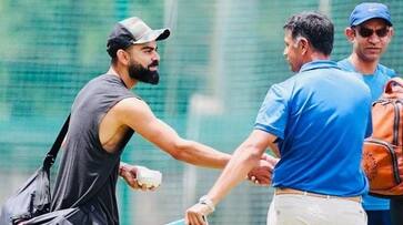 ODI World Cup 2023: Rahul Dravid praises Virat Kohli on his 35th birthday, calls him 'legend of the game' avv ODI World Cup 2023: Rahul Dravid praises Virat Kohli on his 35th birthday, calls him 'legend of the game' avv