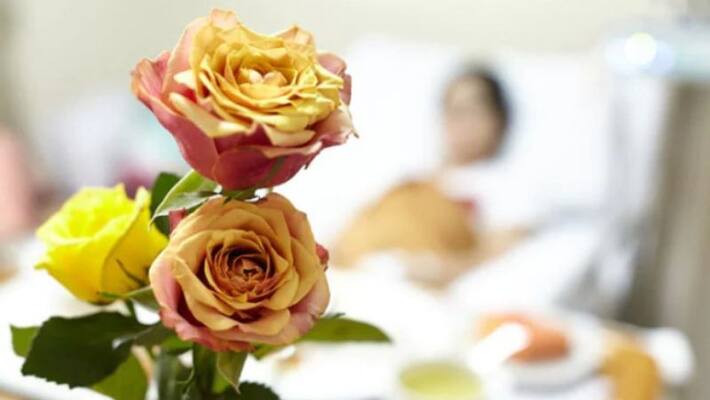 World Rose Day is a day to bring happiness in the lives of cancer patients World Rose Day is a day to bring happiness in the lives of cancer patients