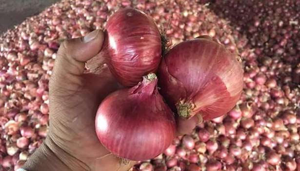 we will give onion kilo 24 rupees