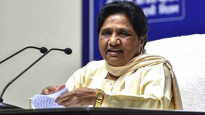 bsp chief mayawati dissolves state executive unit in rajasthan bsp chief mayawati dissolves state executive unit in rajasthan