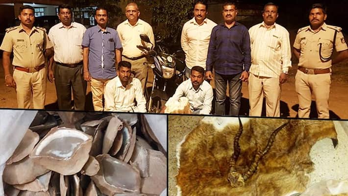Exclusive: CID Forest Cell arrests 2, seizes blackbuck skin, horns and pangolin scales Exclusive: CID Forest Cell arrests 2, seizes blackbuck skin, horns and pangolin scales