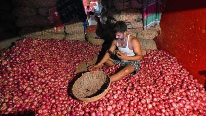 Onions stolen from nasik farmer store house worth rs 1 lakh Onions stolen from nasik farmer store house worth rs 1 lakh