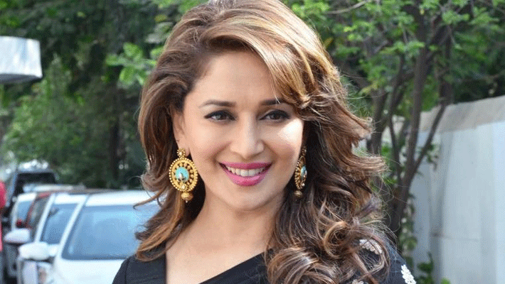 madhuri dixit will be goodwill ambassador in maharashtra assembly elections madhuri dixit will be goodwill ambassador in maharashtra assembly elections