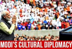 Culture 'Shauk': PM Modi transforming India's global image through cultural diplomacy