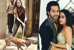 Varun Dhawan's lover Natasha Dalal trolled for her dog's skeletal condition