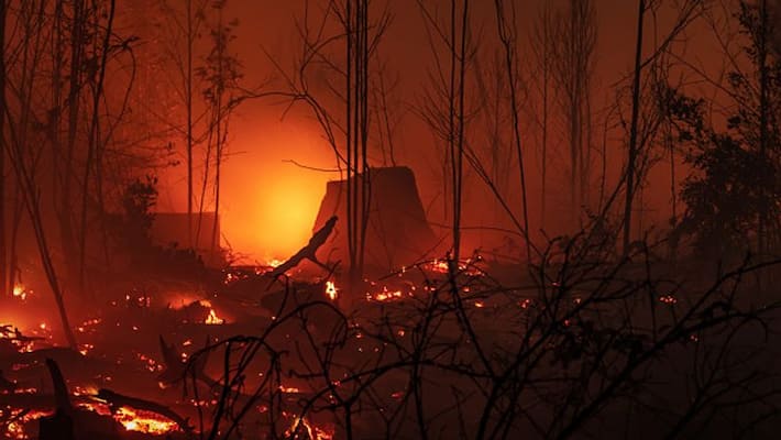 Andhra Pradesh: Fire breaks out in Wood market Andhra Pradesh: Fire breaks out in Wood market