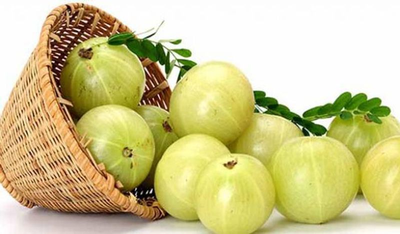 Weight loss to improving vision: Benefits of amla that improve overall health-dnm