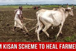 70 Lakh Farmers to Enroll Under PM KISAN Yojana