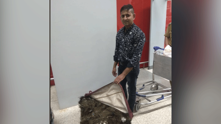 CISF found 49 kg peacock feather bag in indira gandhi airport delhi CISF found 49 kg peacock feather bag in indira gandhi airport delhi