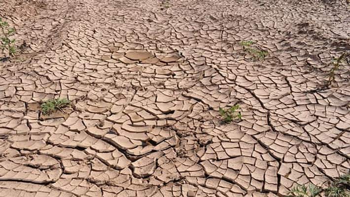 Severe drought declared in ten districts of Jharkhand Severe drought declared in ten districts of Jharkhand