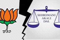Shiromani Akali Dal to fight Haryana assembly elections sans BJP