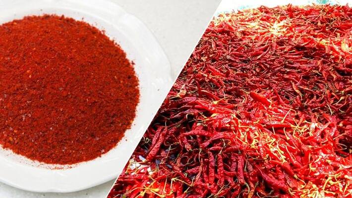 10 thousand quintal Red Chilli Enters To APMC in one day 10 thousand quintal Red Chilli Enters To APMC in one day
