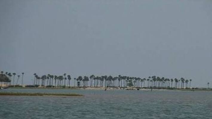 should save chennai marsh land and palaverkadu lake should save chennai marsh land and palaverkadu lake