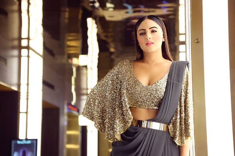 (Courtesy:Instagram) కొన్ని చిన్న చిత్రాల్లో నటించినా వాటివల్ల నికీషాకు గుర్తింపు లభించలేదు.