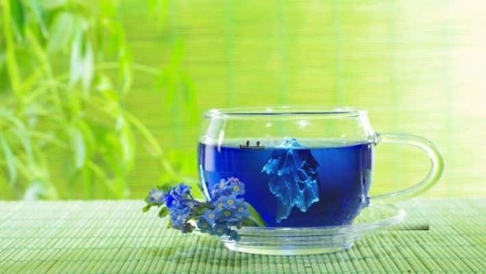 Learn what is Blue Tea and what are the benefits of drinking it Learn what is Blue Tea and what are the benefits of drinking it