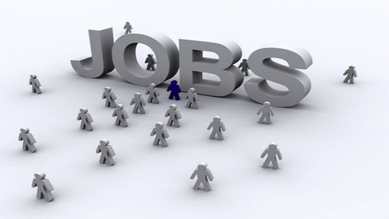 IBPS PO jobs 4,135 Bank Pos with Degree Qualification and Management Trainee posts Apply here now