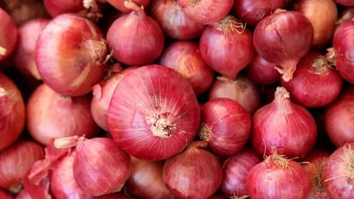 Government bans export of onions Government bans export of onions