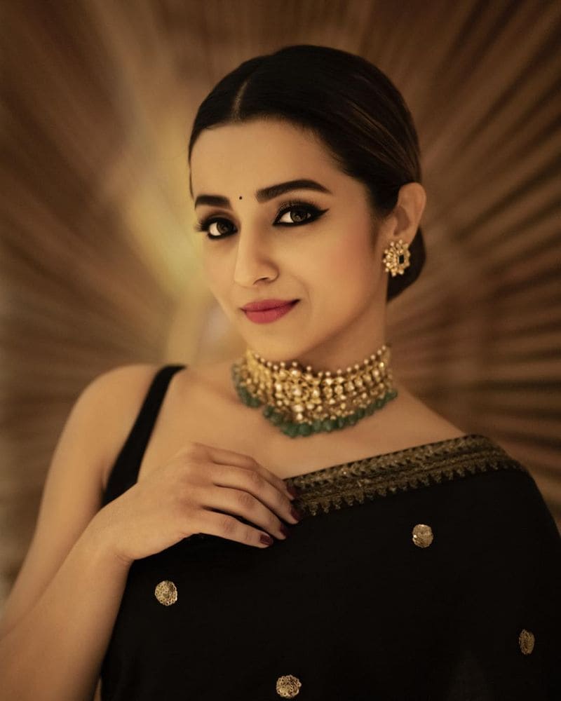 త ఏడాది విజయ్ సేతుపతి సరసన నటించిన 96 చిత్రంతో త్రిష బ్లాక్ బస్టర్ హిట్ అందుకుంది.