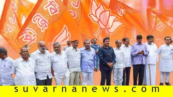 Am Not Interested To Become Minister Says Vijayanagar BJP MLA Anand Singh Am Not Interested To Become Minister Says Vijayanagar BJP MLA Anand Singh