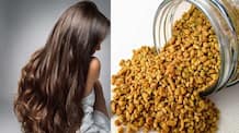 fenugreek hair packs for strong and healthy hair 