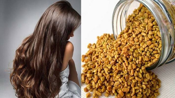 benefits of fenugreek for your hair benefits of fenugreek for your hair