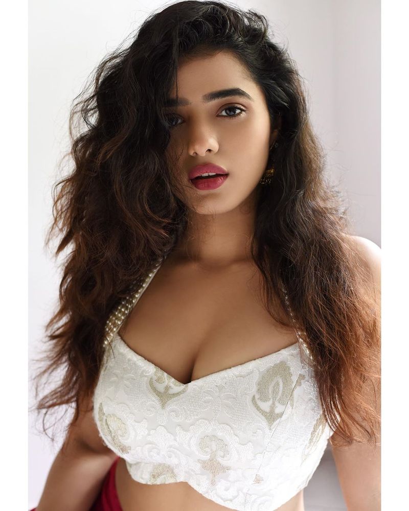 ఇక రొమాంటిక్ సినిమా షూటింగ్ ప్రస్తుతం తుది దశలో ఉంది.