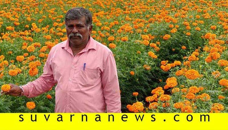 Belagavi farmer earns profit by growing marigold flower