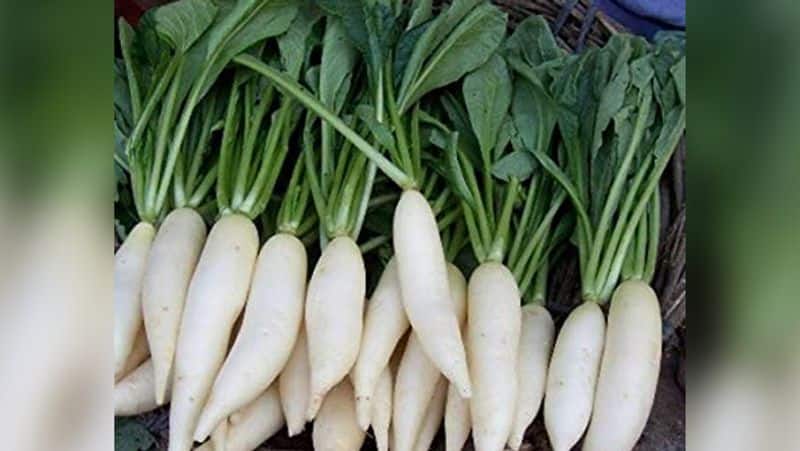 Winter vegetable effective 5 benefits of radish and its effects BDD