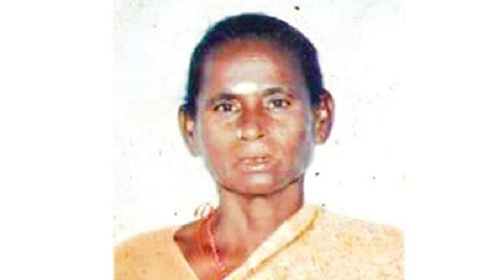 lady murder her mother in law lady murder her mother in law