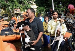 Bihar floods: Sushant Singh Rajput, Manoj Bajpayee urge people to help victims
