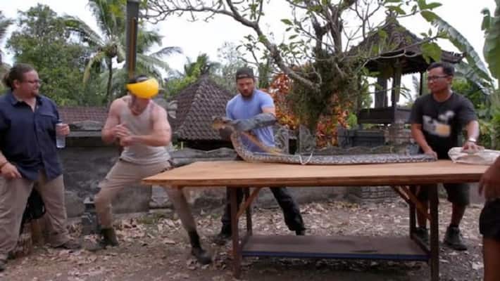 Handed 6-foot python for research, snake bites his hand Handed 6-foot python for research, snake bites his hand