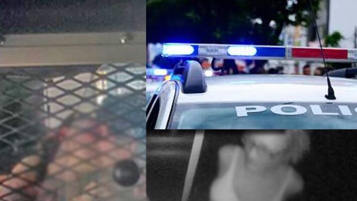 couple allegedly caught having sex in patrol car after traffic rule violation in florida couple allegedly caught having sex in patrol car after traffic rule violation in florida