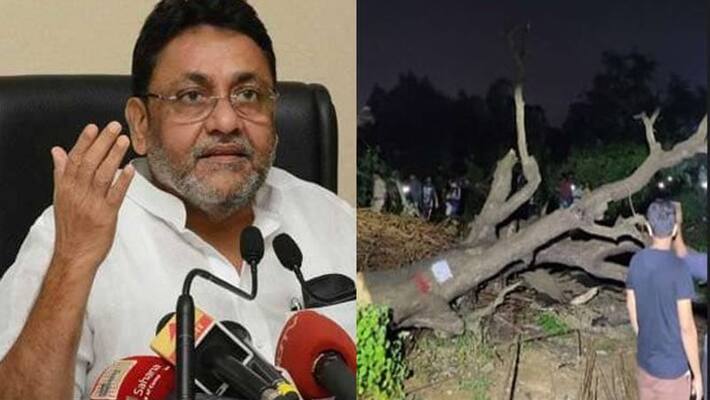 opposition slam Shiv Sena, BJP for slaughter in Aarey opposition slam Shiv Sena, BJP for slaughter in Aarey
