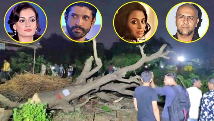 Bollywood Stars protest on Cutting of Trees in Aarey Forest Bollywood Stars protest on Cutting of Trees in Aarey Forest