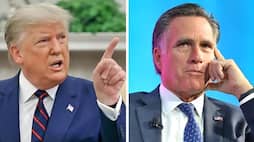 Trump has asked to drive Impeachment against senator mitt romney