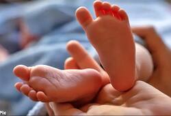 Doctor arrested for abandoning new born baby