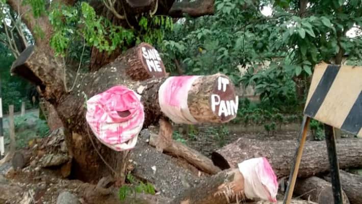 Supreme Court asks Maharashtra Government to not cut more trees at Aarey Colony Supreme Court asks Maharashtra Government to not cut more trees at Aarey Colony