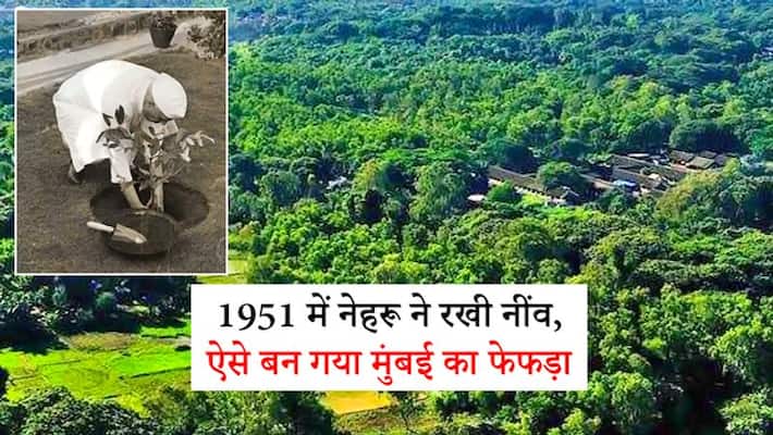Aarey: pm Nehru laid foundation, its spread over 3166 acres, 5 special things about it Aarey: pm Nehru laid foundation, its spread over 3166 acres, 5 special things about it
