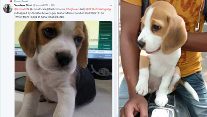 Dog Kidnap by Zomato Delivery Boy Dog Kidnap by Zomato Delivery Boy