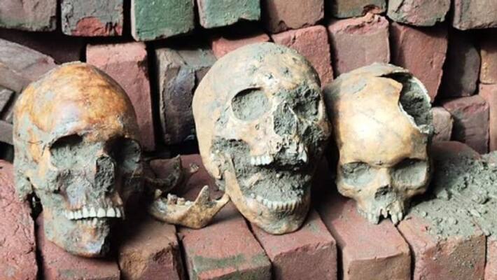 Skeleton heads found in nakashipara Skeleton heads found in nakashipara