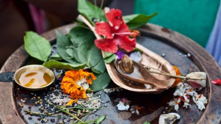 Know important of bell leaves in pujs bjc Know important of bell leaves in pujs bjc