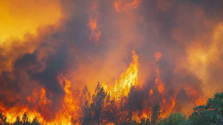 american state california forest fire one lakh people evacuate from house american state california forest fire one lakh people evacuate from house