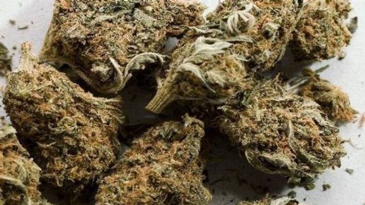 Virginia legalize ganja use in adults Virginia legalize ganja use in adults