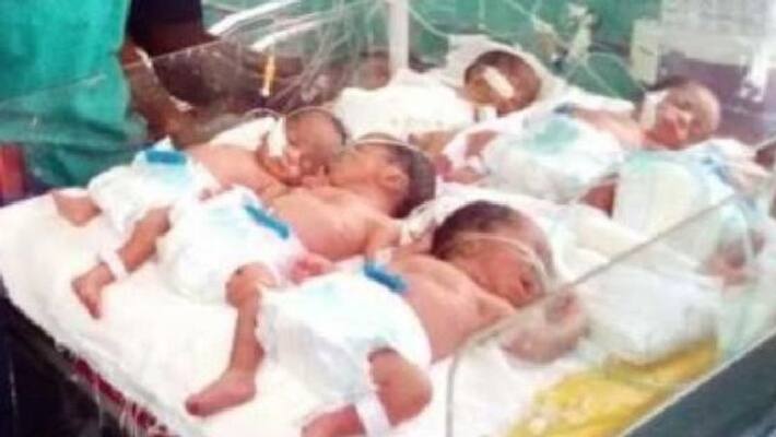 5 children born together, doctors are also shocked 5 children born together, doctors are also shocked