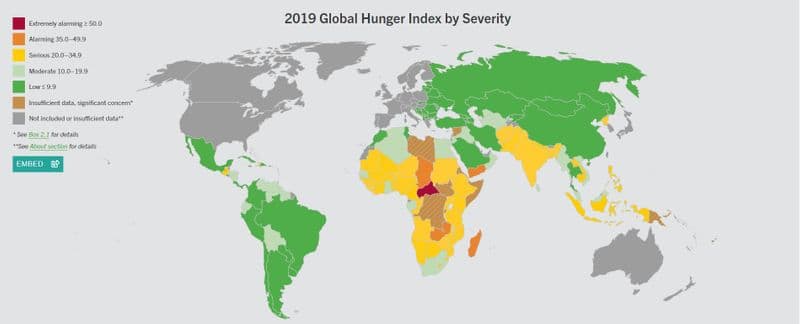 Global hunger index 2019 India rank 102