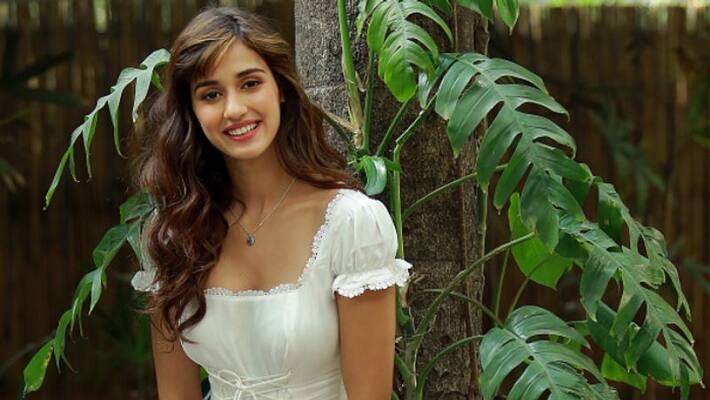 Disha Patani bold photo shoot has once again warmed up on social media Disha Patani bold photo shoot has once again warmed up on social media